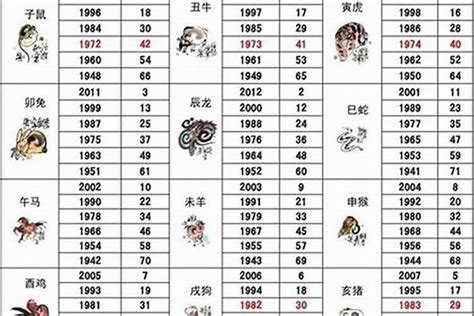 2003年出生属什么